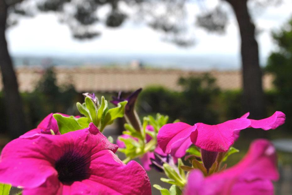 Hotel Villa San Giorgio Poggibonsi Eksteriør billede